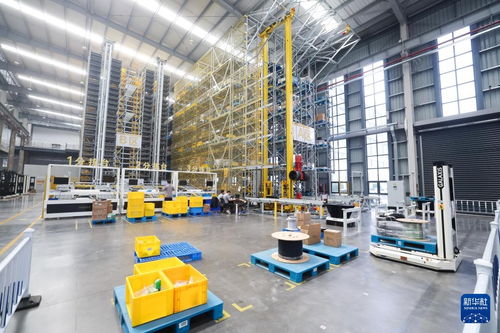 科技赋能 服务升级——浙江嘉兴打造高新技术产业发展新高地