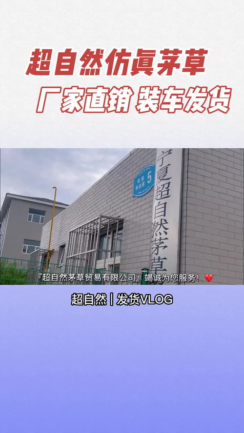 宁夏超自然茅草贸易 绿色环保的仿真茅草行业引领者